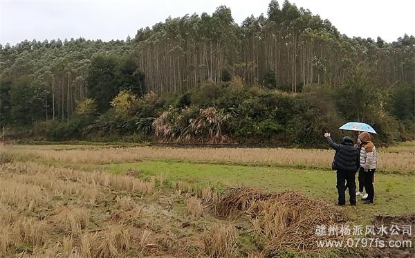 和平区陈老师带着爱徒寻龙点穴